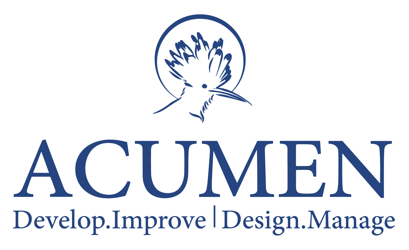 Acumen Technical Services LLC
